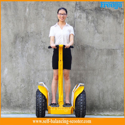 Thắp sáng Wheel Travel Mobility Scooter Pin Lithium Brushless Motor